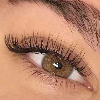 lashes